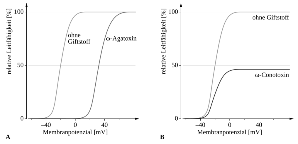 Diagramm mit Membranpotenzial und relativer Leitfähigkeit, mit und ohne Giftstoff.